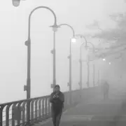 Alerta por densa niebla en el centro de Argentina este martes y mi�rcoles