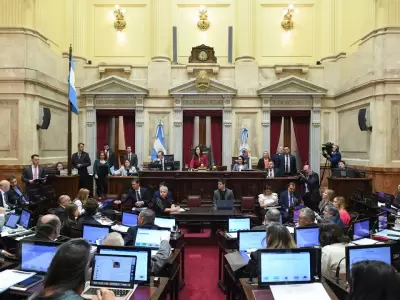 Dur�sima sesi�n en el Senado