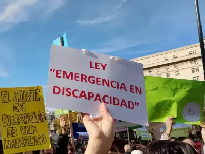 Los senadores aprobaron la ley de emergencia en discapacidad/