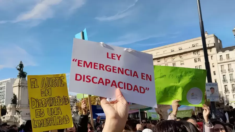 Los senadores aprobaron la ley de emergencia en discapacidad/