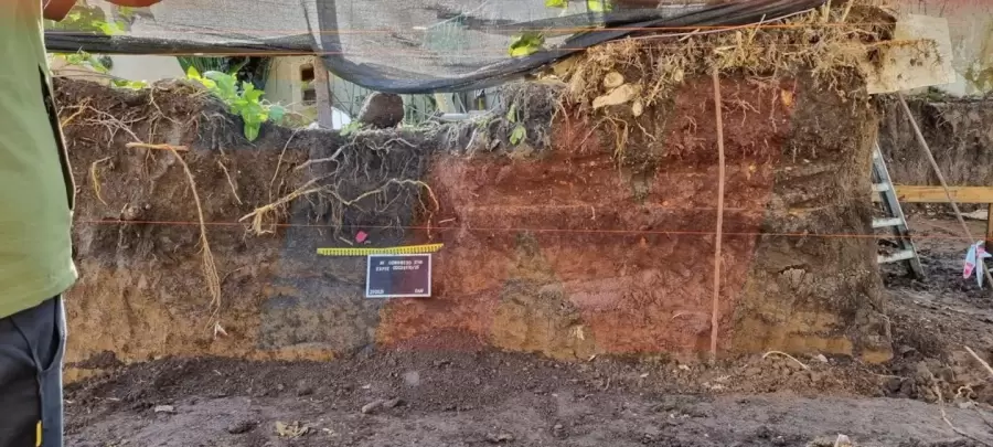 Tierra huesos