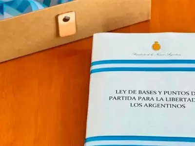 La ley que otorg� las facultades delegadas.