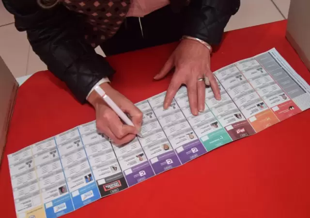 Se usar�n dos boletas �nicas