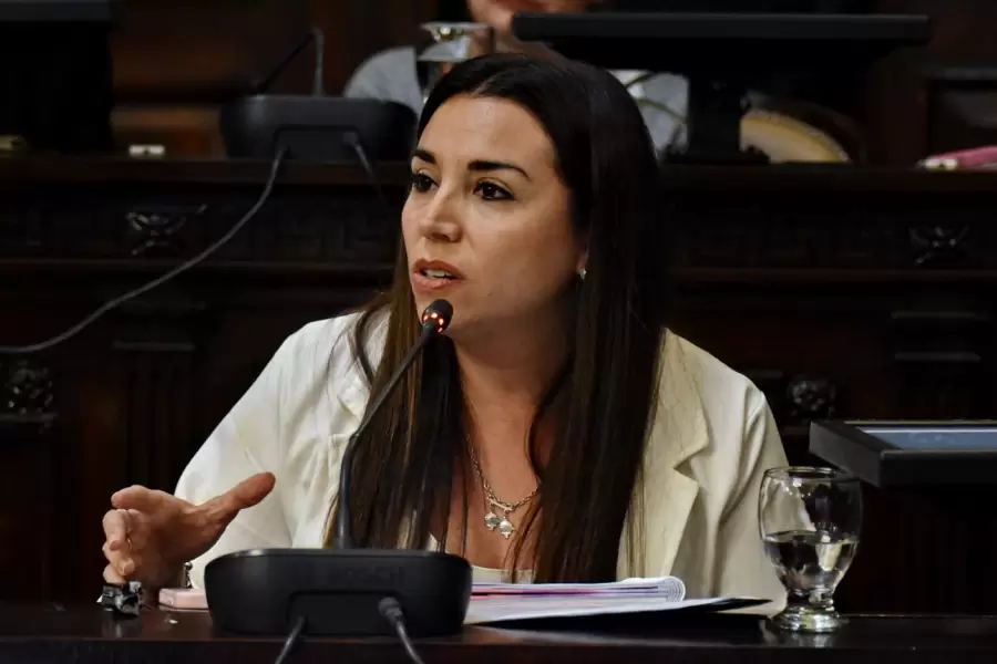 Diputada Cintia G�mez (PRO - LAUM).