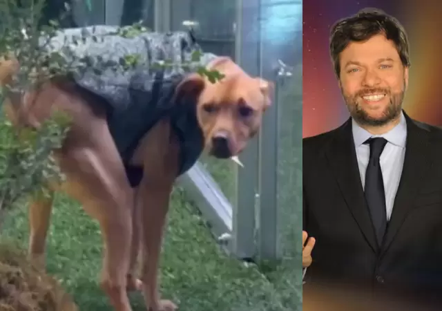 El inslito juego de Guido Kaczka que desat la polmica.