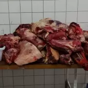 Alerta sanitaria en Las Heras: fuerte decomiso de carne enciende las alarmas