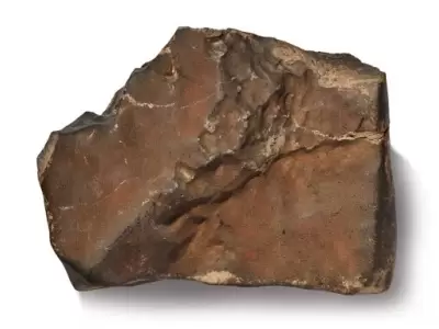 Se subast� un meteorito en Nueva York.