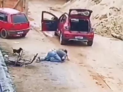 Un hombre se enfrenta a un pitbull.