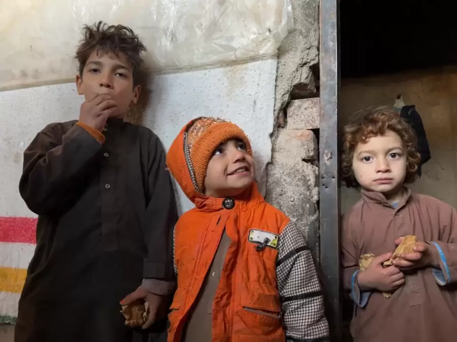 Refugiados