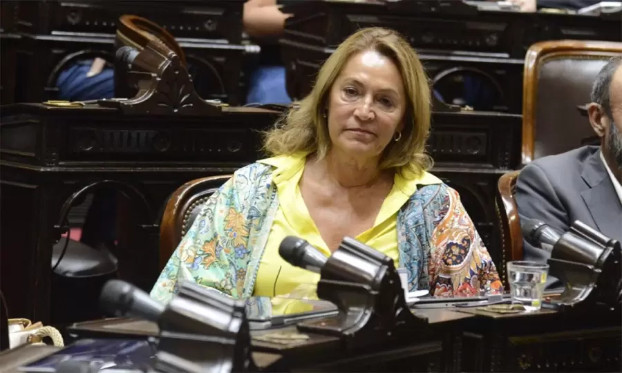 Diputada Marcela Campagnoli