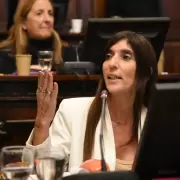 Desde la UCR responden a la denuncia de Anabel Fern�ndez Sagasti contra Cornejo
