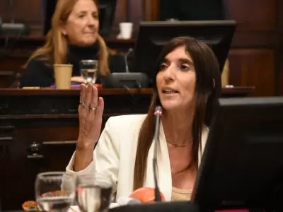 Senadora Natacha Eisenchlas