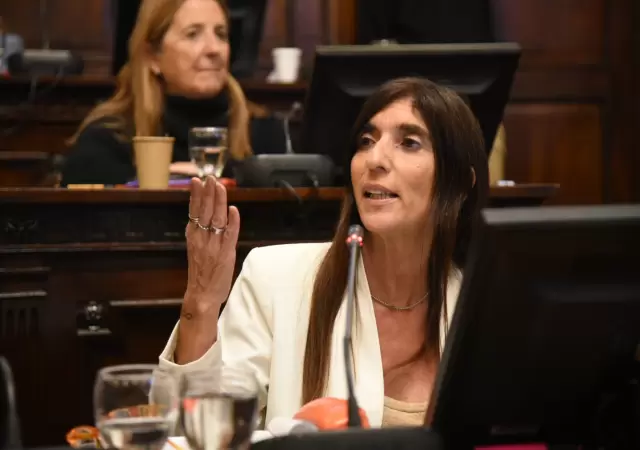 Senadora Natacha Eisenchlas