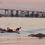Hallaron una ballena muerta en el puente de Zárate y ya son tres en dos semanas