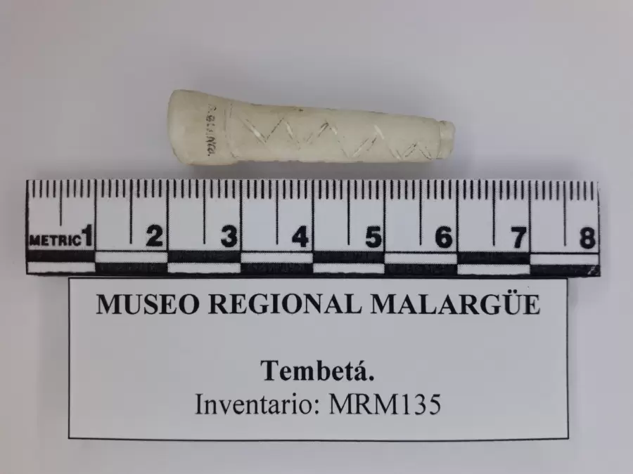 Tembet�. Museo regional Jorge Luna. Malarg�e.