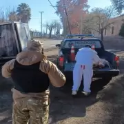 Decomisan m�s de 170 kilos de carne en mal estado en Lavalle, Luj�n y Rivadavia