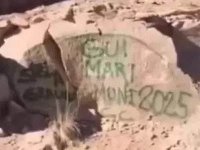 Se trata de cinco turistas que pintaron piedras en el Dique Potrerillos y fueron filmados en un video que se hizo viral.