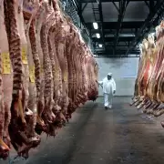 Retenciones a la carne: los matarifes esperan las definiciones de Milei