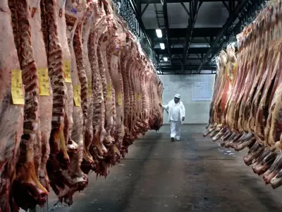 "La industria deber�a ser mixta. Hay cortes que en Argentina tienen mucha salida, y otros cortes que no, pero afuera tienen mucho valor" (L. Rafael)