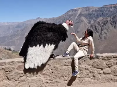 El artista peruano que enga�� a motoqueros y se volvi� viral en las redes