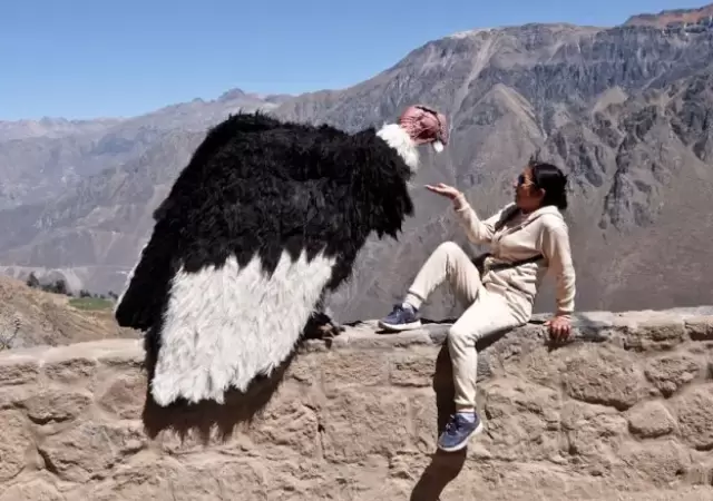 El artista peruano que enga�� a motoqueros y se volvi� viral en las redes