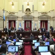 VIVO / El Senado ya debate los fondos para universidades y la emergencia pedi�trica
