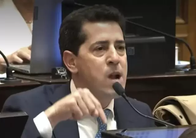 El senador Wado De Pedro