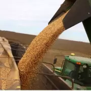 Retenciones: qu� cambia para el campo con la baja anunciada por el Gobierno