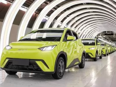 BYD Dolphin Mini.