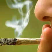 Marihuana en adolescentes: entre mitos, risas y psicosis