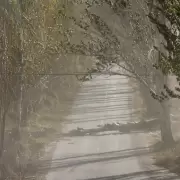 El viento Zonda sacude otra vez y obliga a tomar una decisión urgente