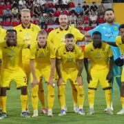 Un perro le mordi� los genitales a un futbolista espa�ol