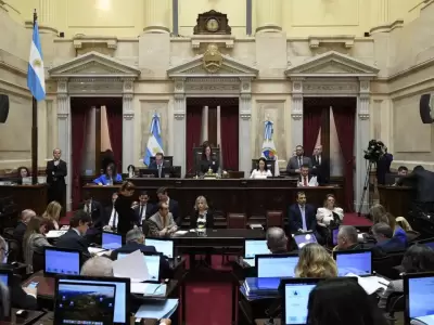 Senado