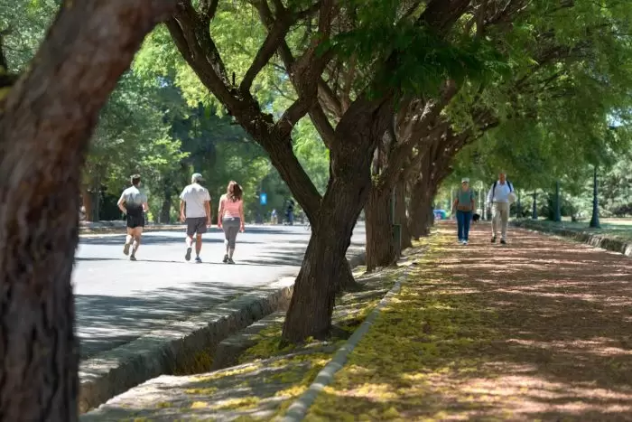 ACV, prevención