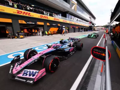 En boxes, Alpine destroz� la carrera de Colapinto en el Gran Premio de Hungr�a