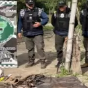 Allanan la casa de un cuatrero armado tras robar caballos y disparar al due�o