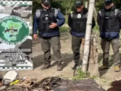 Allanan la casa de un cuatrero armado tras robar caballos y disparar al due�o