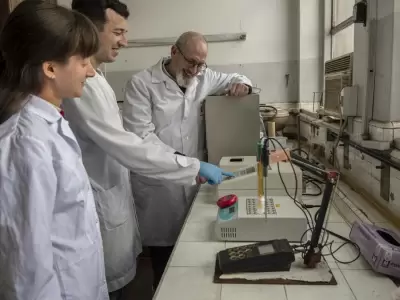 Actividad de investigaci�n