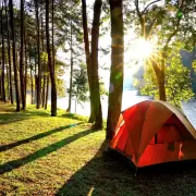 Invierno gasolero con destinos turísticos a media capacidad y bolsillo apretado