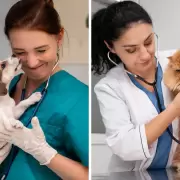 �Por qu� el 6 de agosto es el D�a del Veterinario en Argentina?