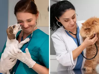 C�mo naci� el D�a del Veterinario en Argentina y por qu� su rol es estrat�gico hoy.