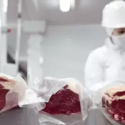 Chile confirma que suspende la importaci�n de carne argentina: alarma en el sector