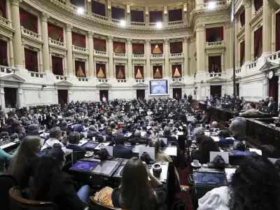 C�mara de Diputados.
