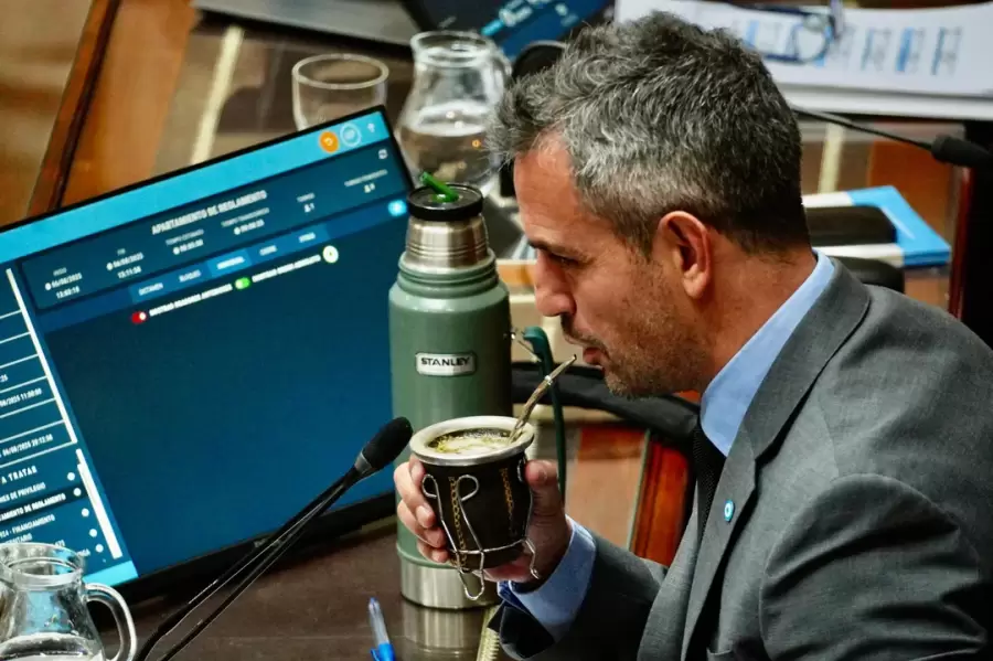 Ardua tarea de conducir la sesi�n por parte de Mart�n Menem