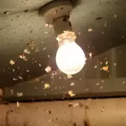 Como evitar que aparezcan ara�as en las luces y los plafones: 10 consejos
