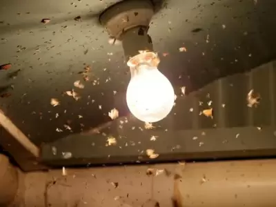 Luces del hogar