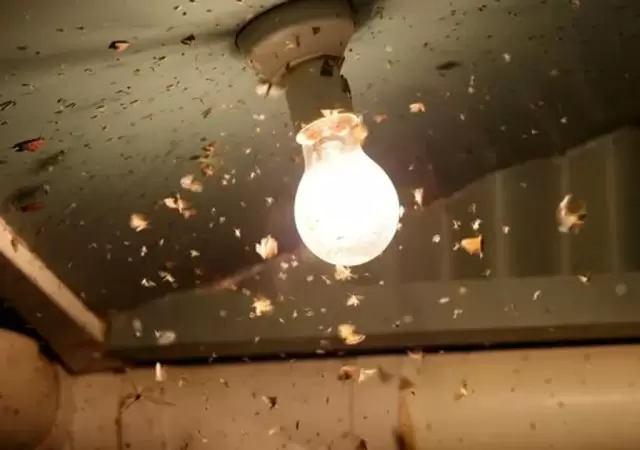 Luces del hogar
