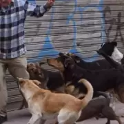 Guaymall�n: un hombre fue atacado por perros y nadie lo ayud�