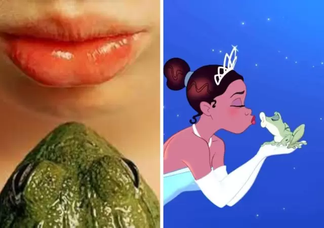 �Y si beso un sapo? Esto es lo que realmente puede pasar.