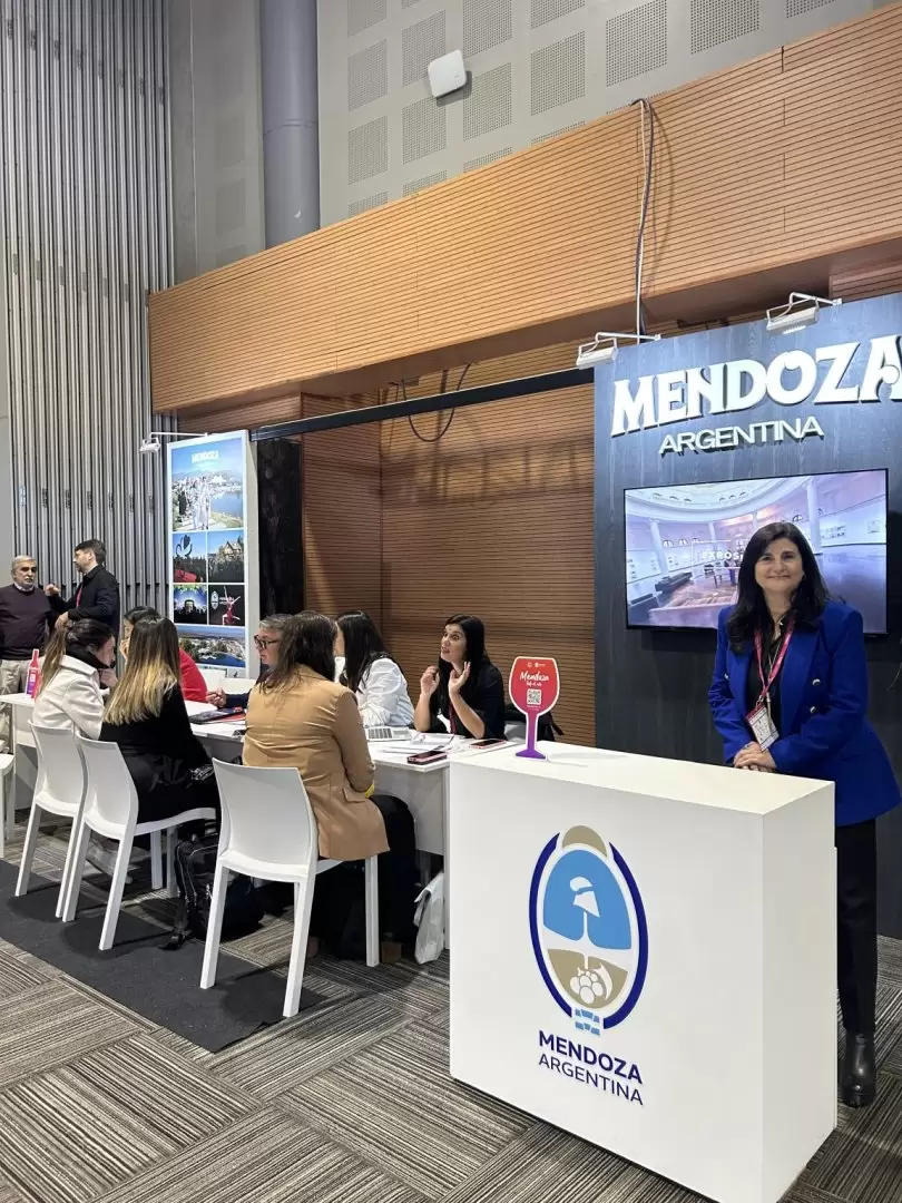 Mendoza y el turismo receptivo.